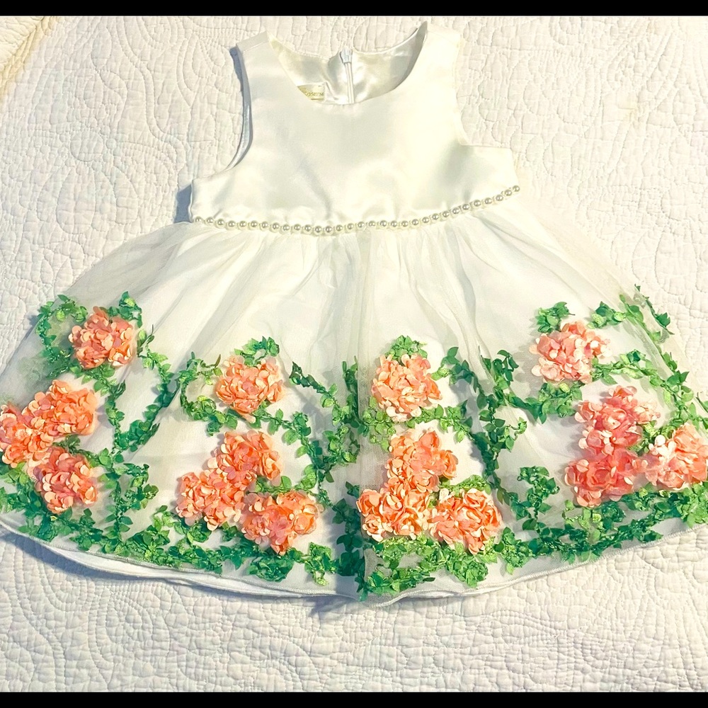 Like new cute toddler dress in 2T
